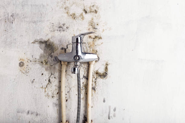 Best Post-Flood Mold Remediation in Hanover, PA
